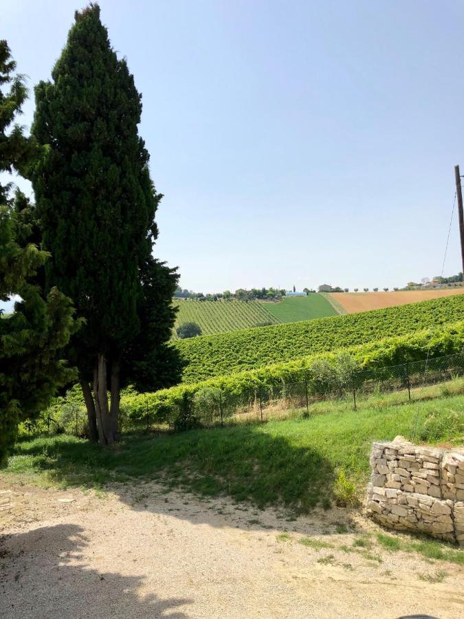 B&B Santa Caterina Acquaviva Picena Luaran gambar