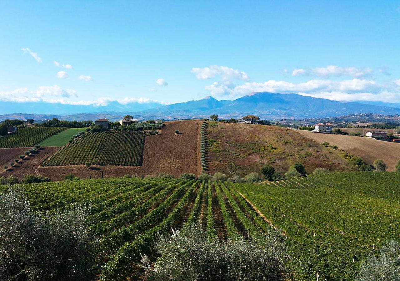 B&B Santa Caterina Acquaviva Picena Luaran gambar
