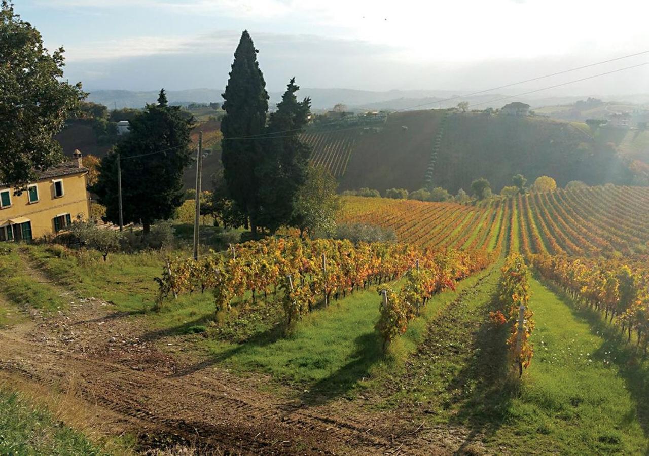 B&B Santa Caterina Acquaviva Picena Luaran gambar