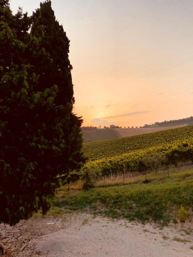 B&B Santa Caterina Acquaviva Picena Luaran gambar