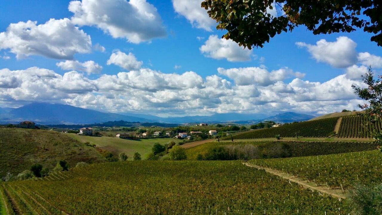 B&B Santa Caterina Acquaviva Picena Luaran gambar