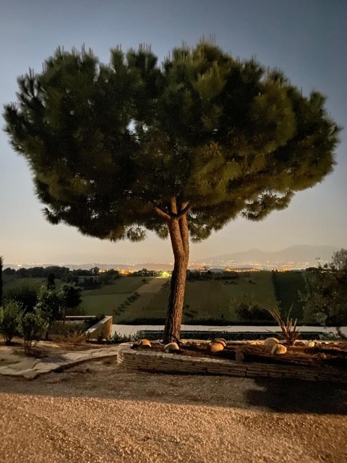 B&B Santa Caterina Acquaviva Picena Luaran gambar