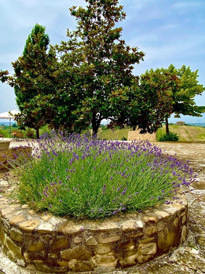 B&B Santa Caterina Acquaviva Picena Luaran gambar