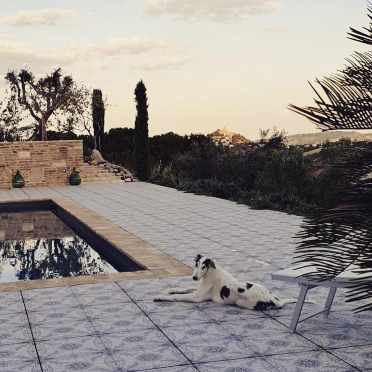 B&B Santa Caterina Acquaviva Picena Luaran gambar